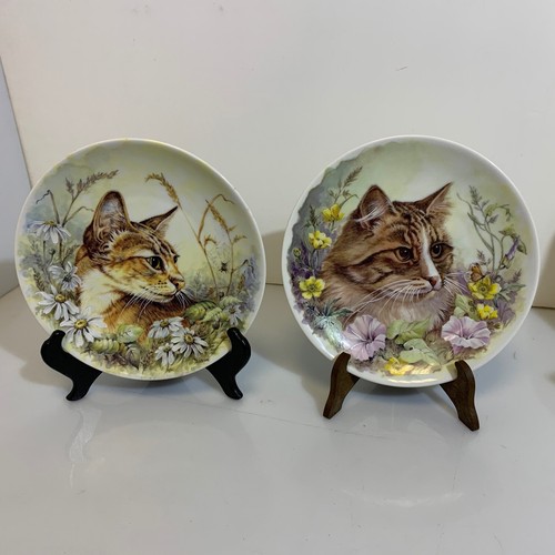 Pair bavaria vohenstrauss - pair,
